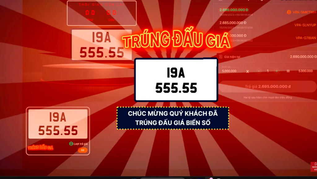 204617 Dau Gia 19a